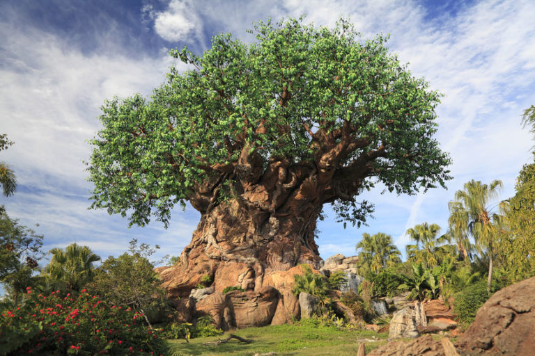 What to do at the Animal Kingdom if it Rains family vacation design