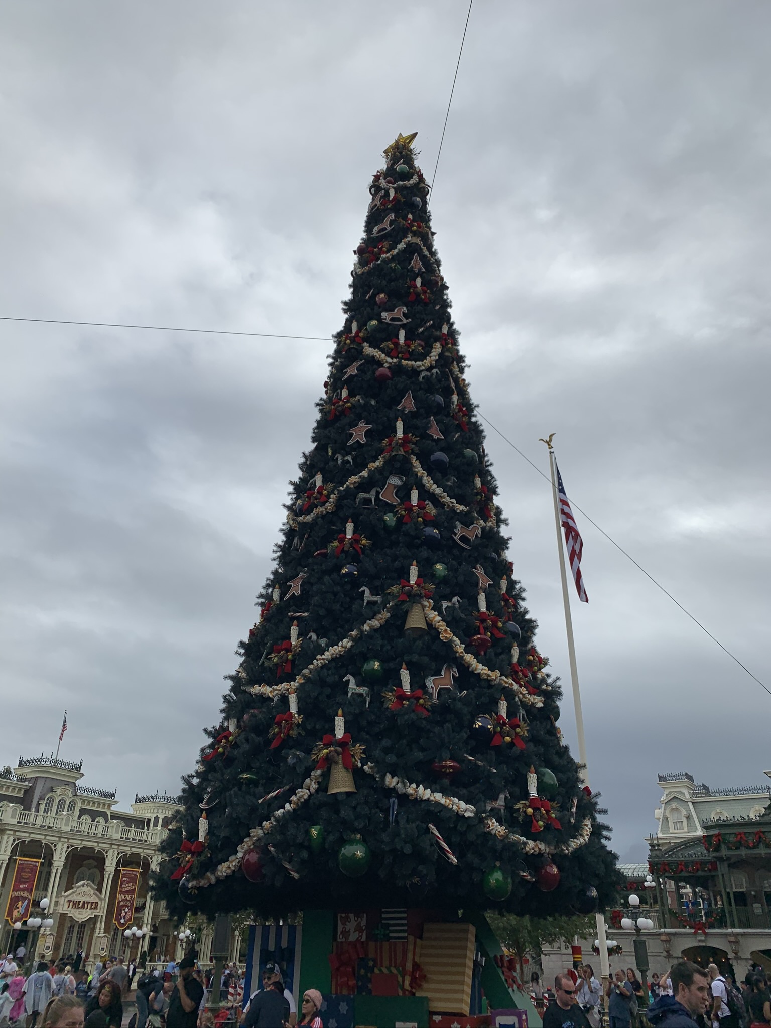 Christmas tree at Disney World