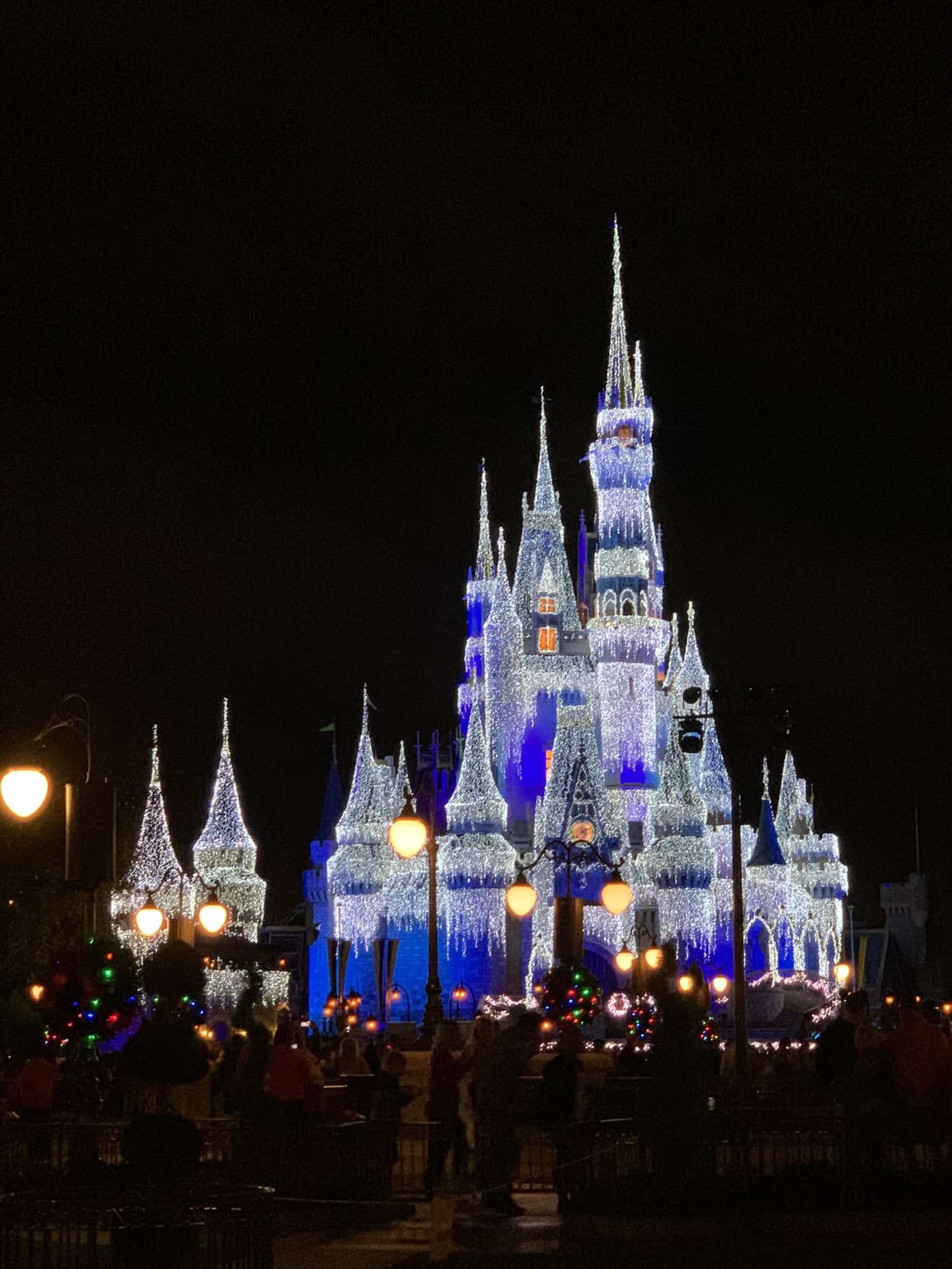 the Magic Kingdom Castle at night